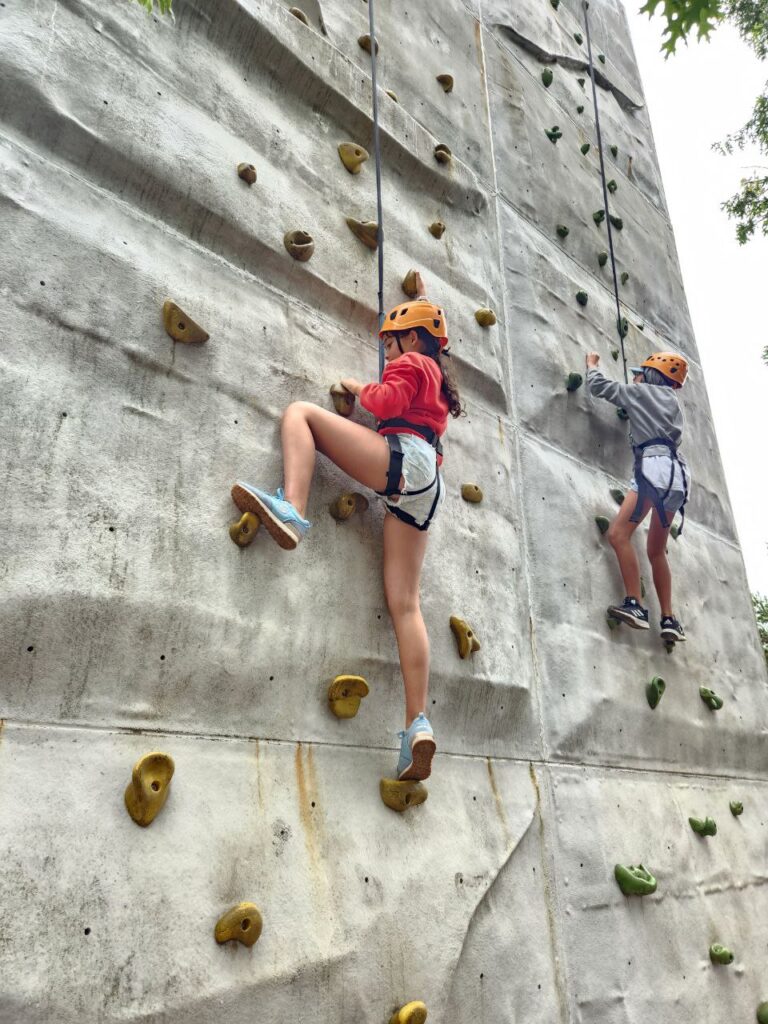 New skills